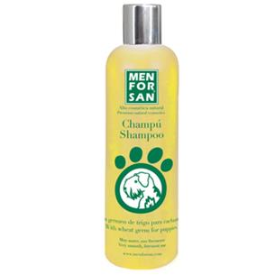 MFS CHAMPU CACHORRO TRIGO 300ml