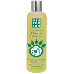 MFS CHAMPU GERM TRIGO HURON 300