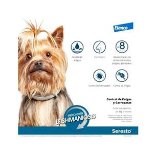 SERESTO PERRO -8kg 38cm CLINICO 2