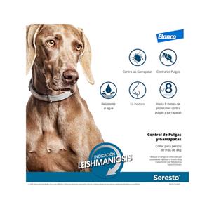 SERESTO PERRO +8kg 70cm CLINICO 2