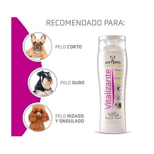 ARTERO CHAMPU VITALIZANTE 250ml 2