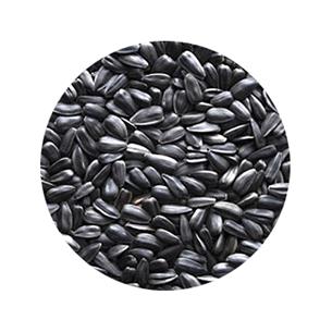 BOLSA PIPA NEGRA 650gr SHAMBI