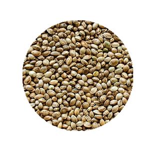 BOLSA CAÑAMONES 900GR SHAMBI 2
