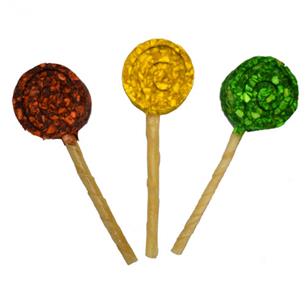 FRESH NAT. COLOR MUNCHY LOLIPOP