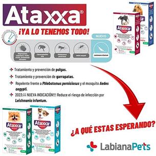 ATAXXA PERROS 4-10kg 3pip 2