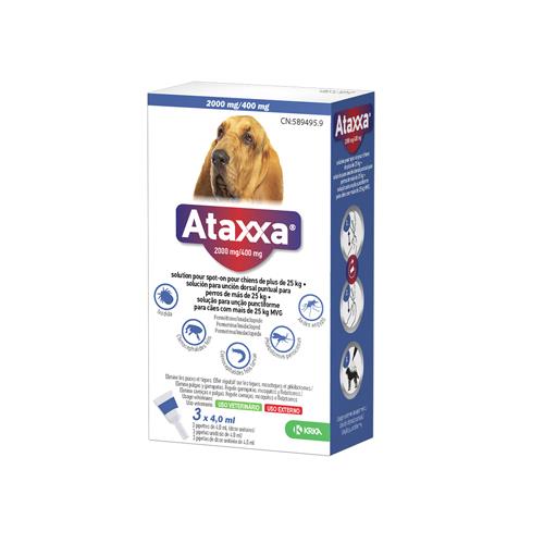 ATAXXA PERROS >25kg 3pip