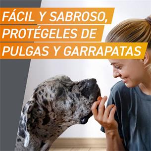 FRONTPRO MASTICABLE 2-4kg 3cp 2