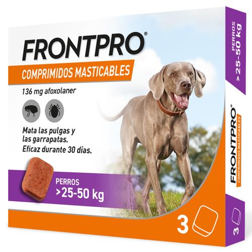 FRONTPRO MASTICABLE 25-50kg 3cp