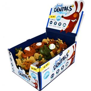 DISPLAY DENTALS FRESH JUNGLE MIX