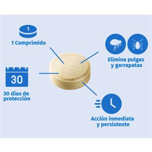 ADTAB GATO 48mg 2-8kg 1cp 2