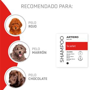 CHAMPU SCARLET ROJO 300ML ARTERO 2
