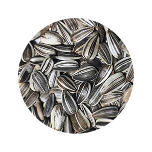 BOLSA PIPAS IREGUI 2Kg SHAMBI 2
