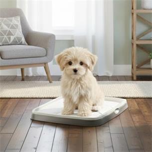 PUPPY TRAINER KIT M BANDEJA EMPA 2