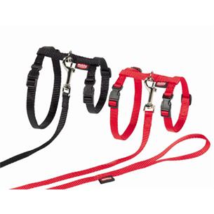 ARNES+CORREA GATO 34-57c120c ROJ
